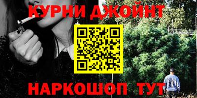 прущие грибы Обь