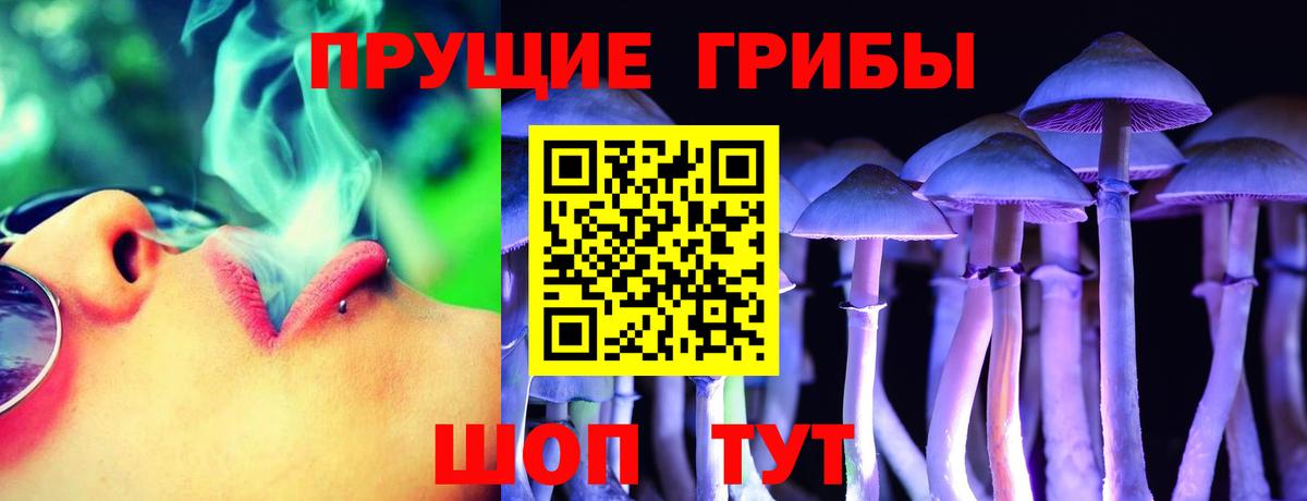 Псилоцибиновые грибы мухоморы  Вход с VPN  Тверь 